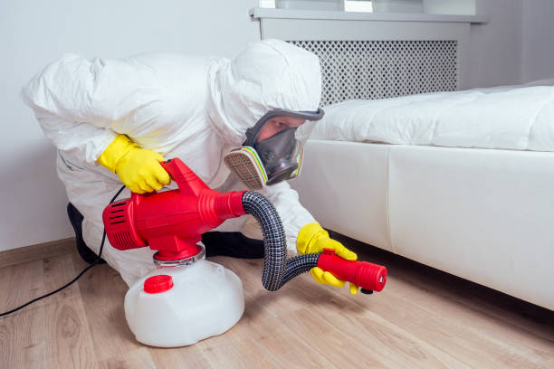 Best Residential Pest Control  in Panama, OK